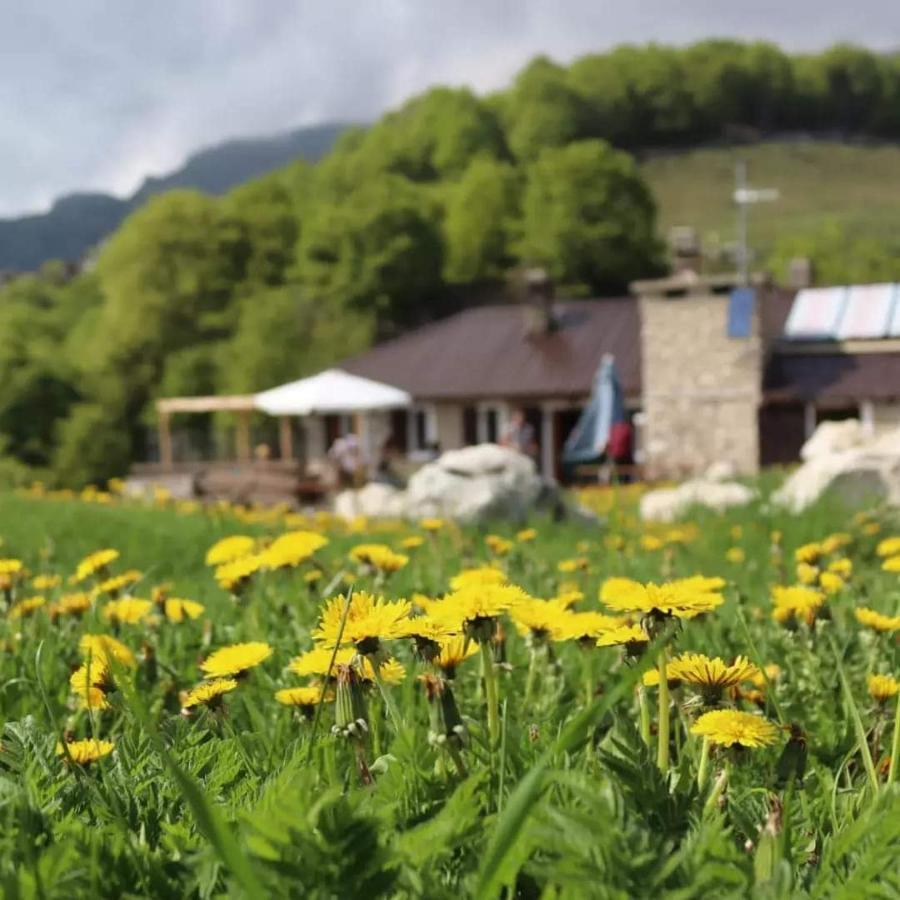 Rifugio Baita Fos-Ce Брентонико Экстерьер фото